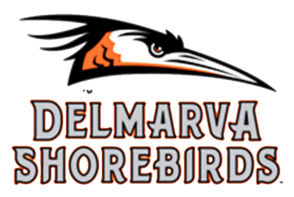 shorebirds.png